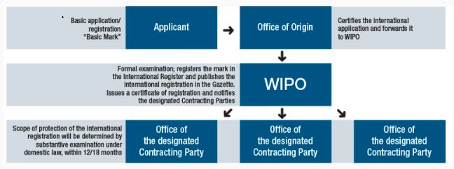 International Trademark Registration Process
