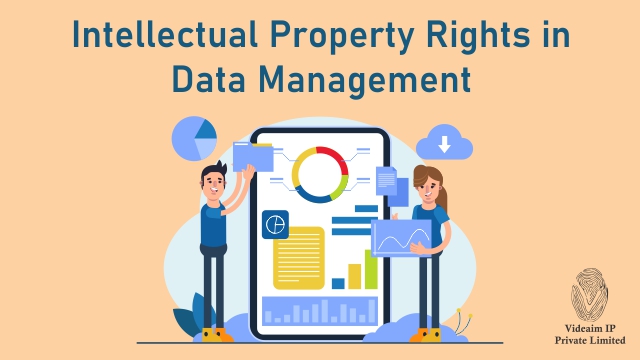 Understanding Intellectual Property Rights in Data Management